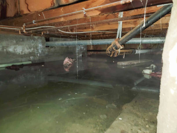 Water damage restoration insurance claims in OR