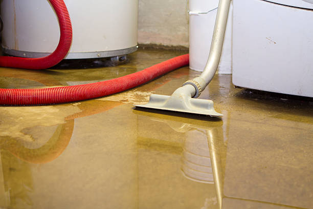 Trusted OR Water damage restoration Experts