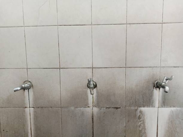 Best Flood restoration services  in Cedar Mill, OR