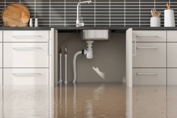 Best 24-hour water damage restoration  in Cedar Mill, OR